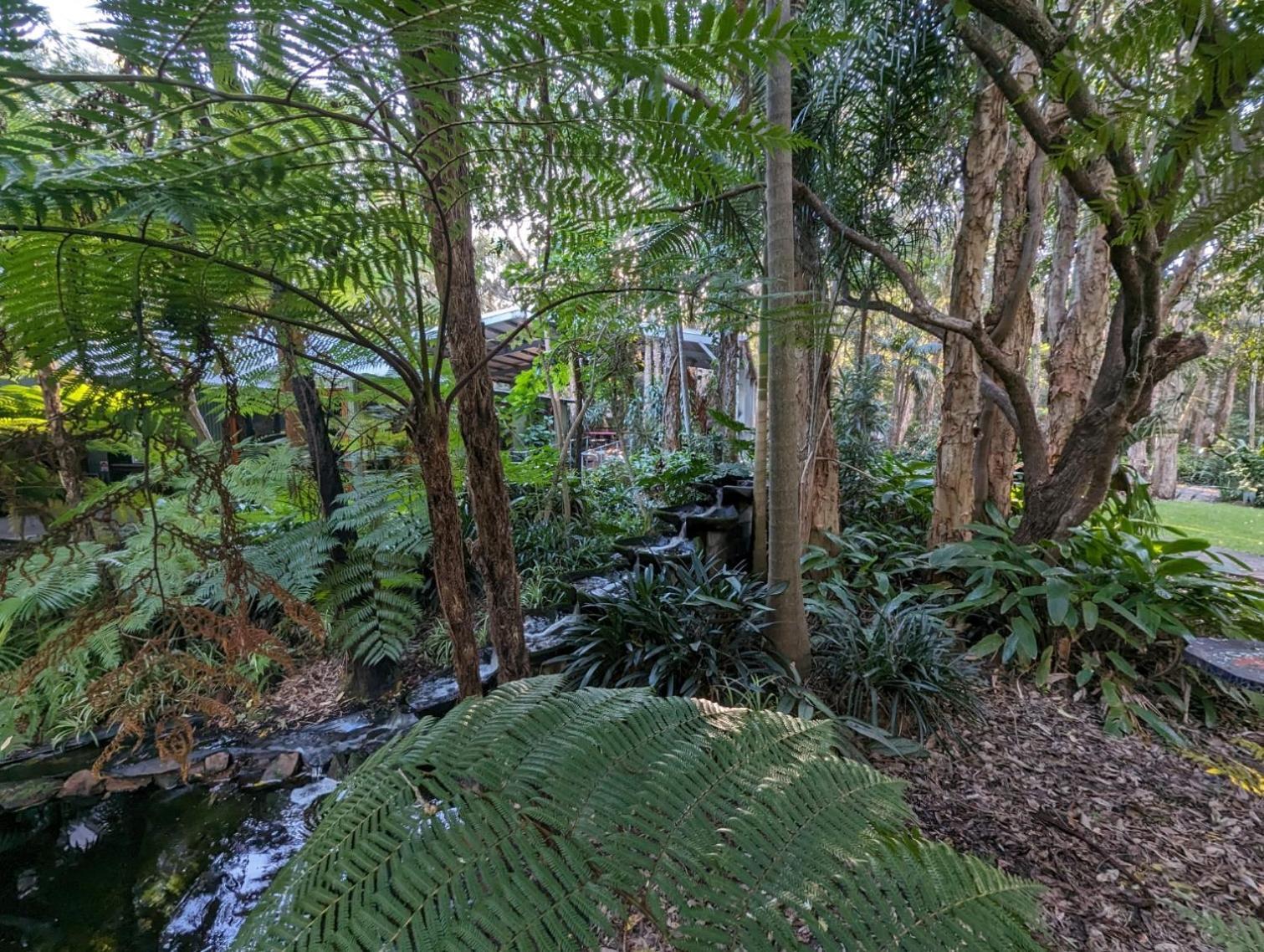 The Oasis At One Mile Beach Aparthotel Nelson Bay Exterior photo